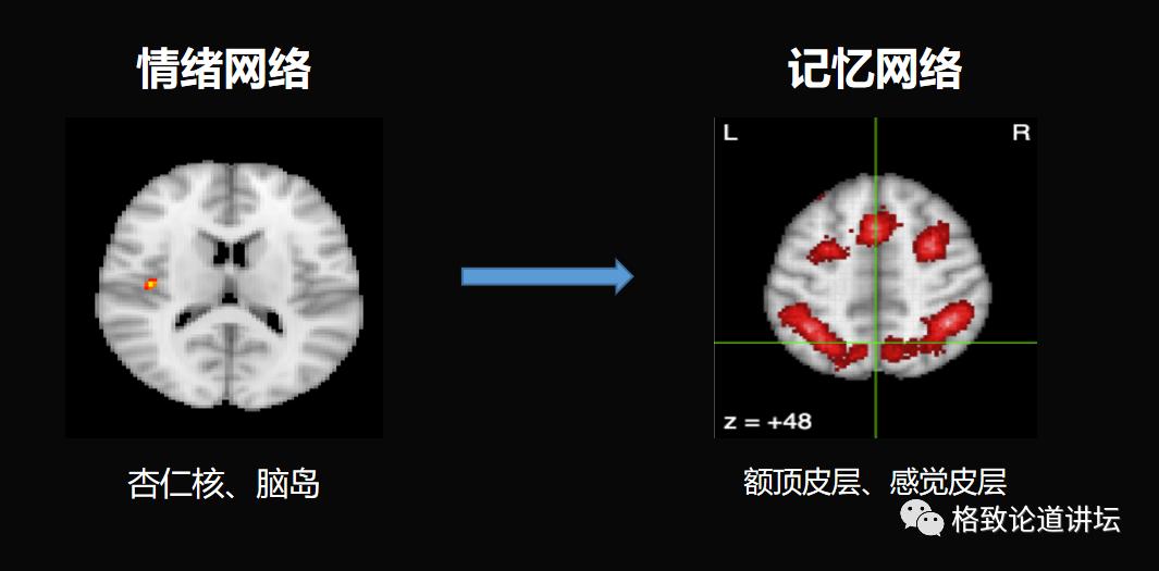 时之笛：穿越时空的旋律与记忆探寻