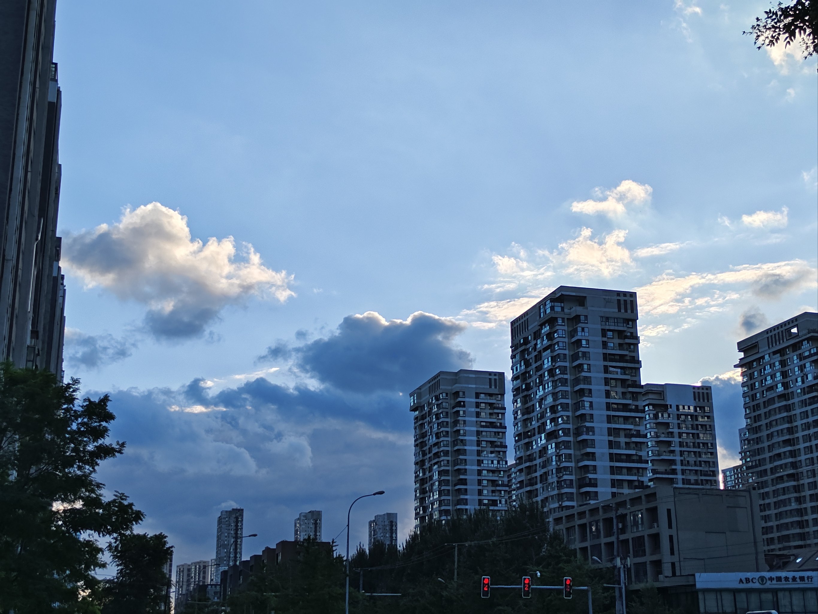 关于四月物语：一段温暖的青春岁月与成长的浪漫旅程的信息