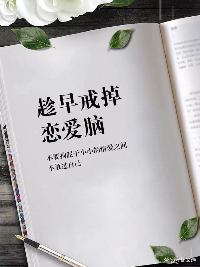 继承人电视剧全集精彩回顾：权力与爱情的博弈之路