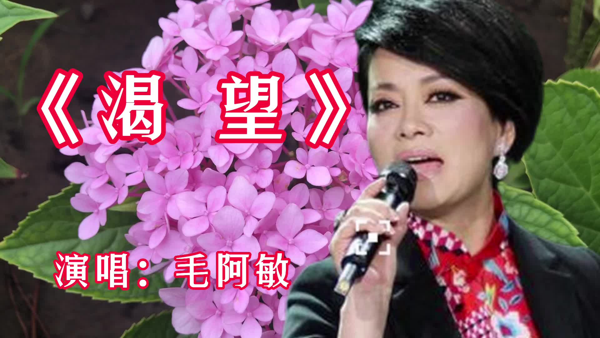 花环夫人国语版：深情演绎与经典重现的完美融合